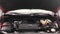 2022 GMC Sierra 1500 4WD Crew Cab 147 SLT