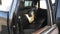 2025 GMC Sierra 1500 4WD Crew Cab 147 Denali