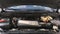 2022 Cadillac Escalade 4WD 4dr Sport
